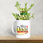 Bhai Dooj Mug with Bamboo Plant