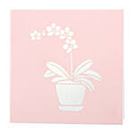 Orchid Plant 3D Card