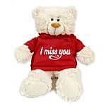 Miss You Teddy Bear