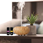 Air Humidifier Diffuser and Essential Oils Combo