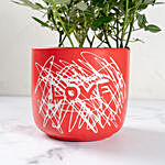 Red Rose Plant In Love Pot