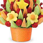 Hydrating Mixed Fresh N Juicy Fruits Arrangement