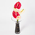 Mixed Anthuriums In Stones Filled Vase