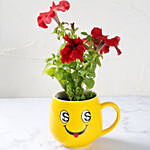 Red Petunia in Smiley Cup