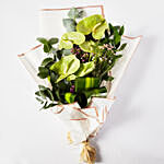 Refreshing Green Anthurium Bouquet