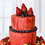 2 Tier Blueberry Watermelon Cake
