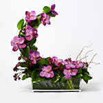 Striking Mixed Flowers Rectangular Vase Arrangement