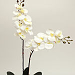 Serene Artificial White Phalaenopsis Vase Arrangement