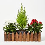 Set Of 3 Plants In Miniature Garden Wooden Fence Base