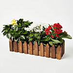 Set Of 3 Plants Miniature Garden Wooden Fence Planter