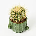 Thorny Cactus Plant In Cactus Shaped Ceramic Pot