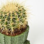 Thorny Cactus Plant In Cactus Shaped Ceramic Pot