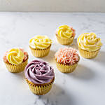 Set Of 6 Flavourful Cupcakes