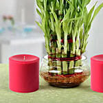 Three Layer Lucky Bamboo Plant N Candles