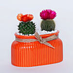 Cactus in Orange Planter