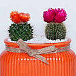 Cactus in Orange Planter