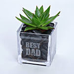 Green Echeveria Plant In Best Dad Square Glass Pot