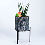 Sansevieria Plant In Ceramic Pot With Stand N Mushroom Toy