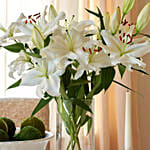 Happiness With Lilies Arrangement Standard