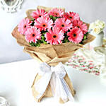 Refreshing Dark Pink Gerberas Bouquet Premium