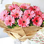 Refreshing Dark Pink Gerberas Bouquet Premium