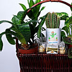 Nature Green gift Basket