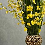 Oncidum Floral Display
