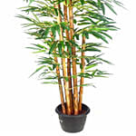 Buddha Bamboo Plant Pot