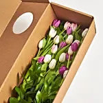 Love of Flowers Twice a Week Subscription