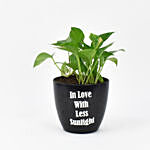 Money Plant In Printed Pot