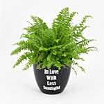 Nephrolepis Plant In Printed Pot