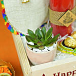 Dry Fruit Candle Rochers n Plant Diwali Hamper