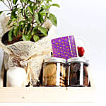 Sweet Diwali Hamper With Tulsi