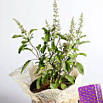 Sweet Diwali Hamper With Tulsi