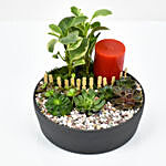 Plants and Candle in Grey Ceramic Tray