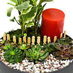 Plants and Candle in Grey Ceramic Tray