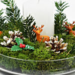 Reindeers and Candle Dish Garden