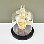 Peach Forever Rose In Glass Dome