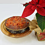 Poinsettia Plant with Plum Cake