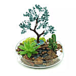 Potted Succulent & Cactus Under A Wishing Tree