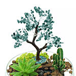 Potted Succulent & Cactus Under A Wishing Tree