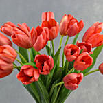 French Tulips in Premium Vase