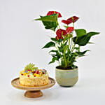 Vegan Fruit Cake with Plant
