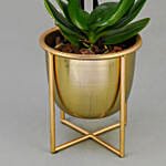 Dual Stem White Orchid in Gold Planter