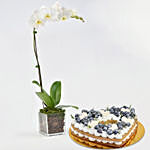 Heart To Heart Blueberry Cake with Plant