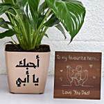 Chrysanthemum Plant for Dad and Plaque