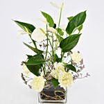 White Anthurium Plant and Carnations