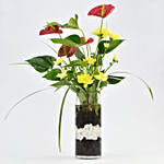 Red Anthurium Plant With Flowers
