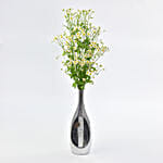 Chamomile Flowers in Premium Vase