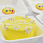 Birthday Wishes Lunchbox Cakes Duo